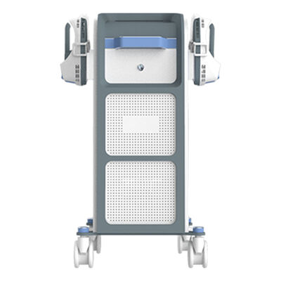 좋은 가격 스파 및 피트니스용 전기 근육 자극 장치 온라인으로