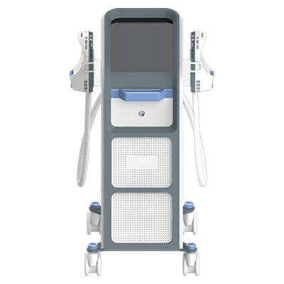 좋은 가격 근육을 키우기 위해 하이 EMT 기계 1-100 Hz 주파수 EMS 배 지방에 온라인으로