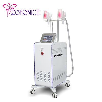 좋은 가격 부동 Membrance를 가진 기계를 체중을 줄이는 2 변하기 쉬워 손잡이 Cryolipolysis 온라인으로