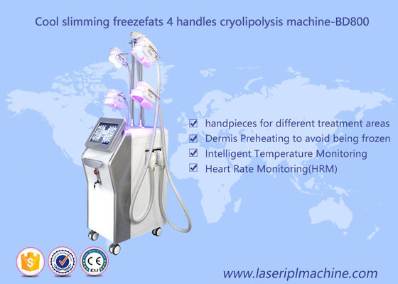 좋은 가격 4개의 손잡이 체중 감소 Cryolipolysis 기계/기계를 체중을 줄이는 뚱뚱한 어는 진공 공동현상 온라인으로