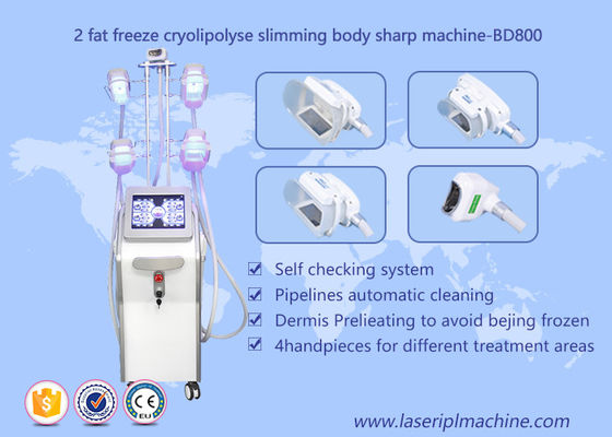 좋은 가격 기계, Lipo Cryo Cryolipolysis 아름다움 장비를 체중을 줄여 모양 몸 Cryolipolysis 온라인으로
