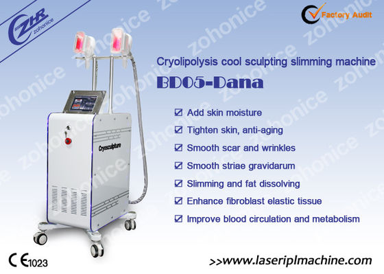 좋은 가격 부동 Membrance를 가진 기계를 체중을 줄이는 2 변하기 쉬워 손잡이 Cryolipolysis 온라인으로