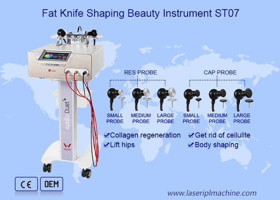 좋은 가격 다중 기능적인 휴대용 CAP RES RF 미용 기기 몸 슬리밍 온라인으로