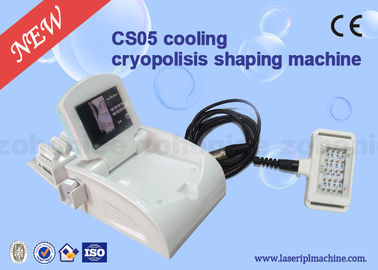 미장원을 위한 기계를 체중을 줄이는 Cryolipolysis 다기능 냉각 몸